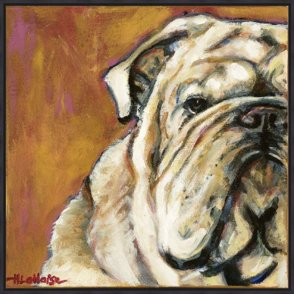 Picture of FLOWER THE BULLDOG