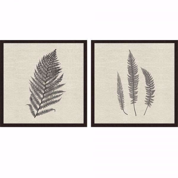 Picture of MODERN FERNS II (SET OF 2)