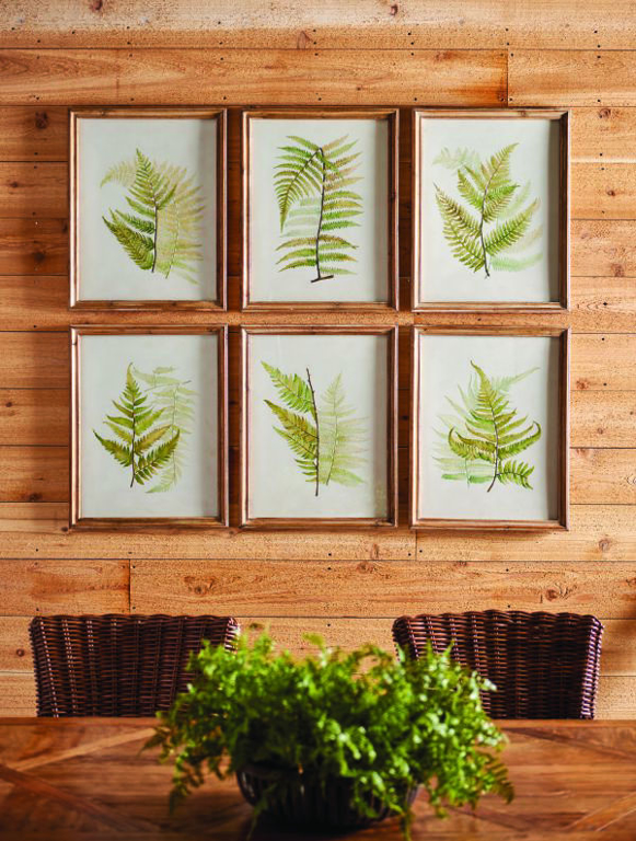 Picture of FRAMED FERN STUDY SET