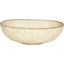 Picture of OVAL FRENCH WHITE BOWL