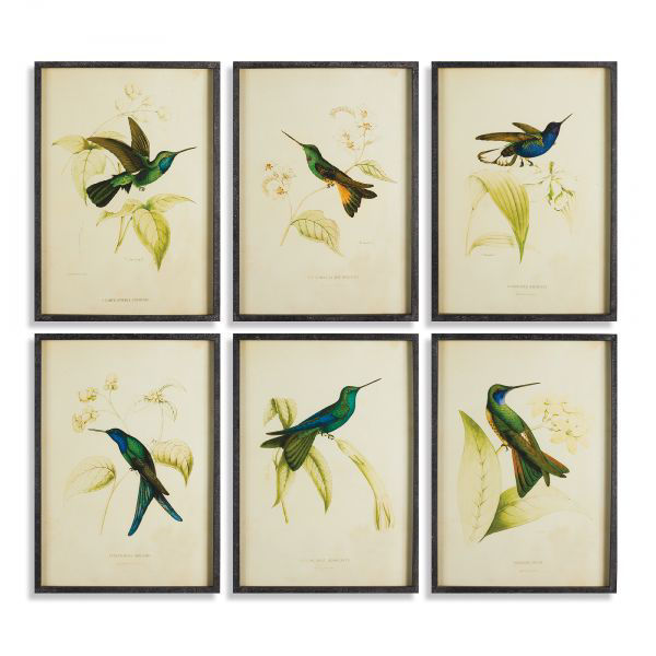 Picture of HUMMINGBIRD SET
