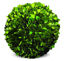 Picture of PRESERVED BOXWOOD 8" BALL
