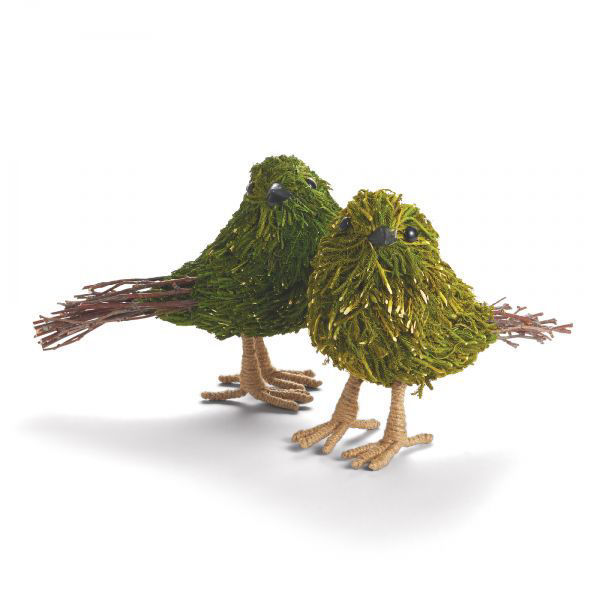 Picture of MOSS & TWIG BIRD SET