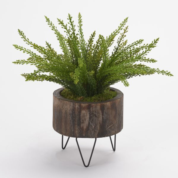 Picture of HEATHER FERN IN WOOD PLANTER