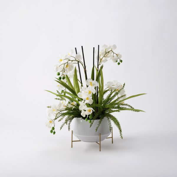 Picture of WHITE VANDA ORCHIDS IN GLASS