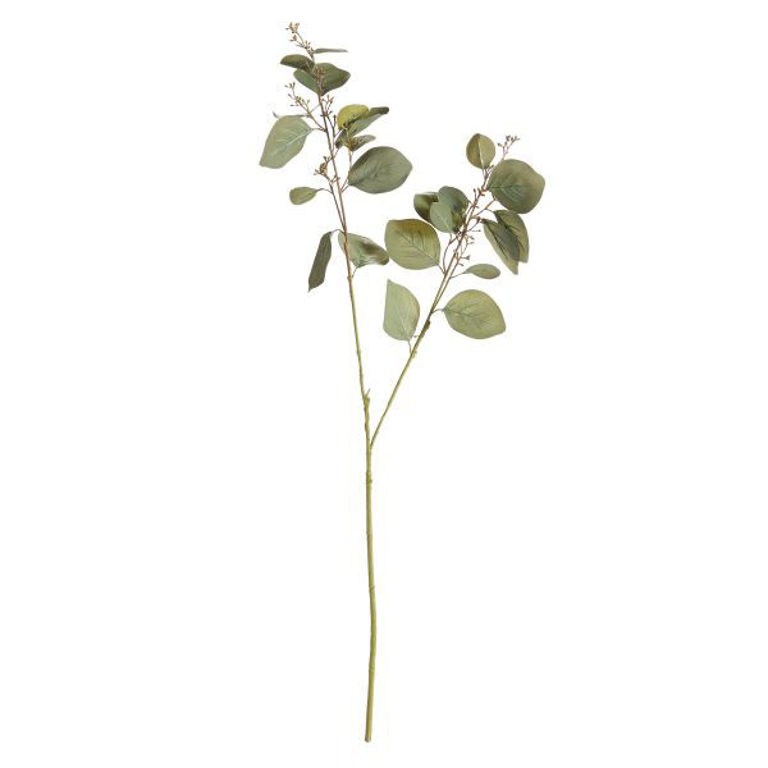 Picture of MEDIUM SILVER DOLLAR EUCALYPTUS STEM