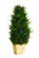 Picture of CYPRESS CONE 19" TOPIARY