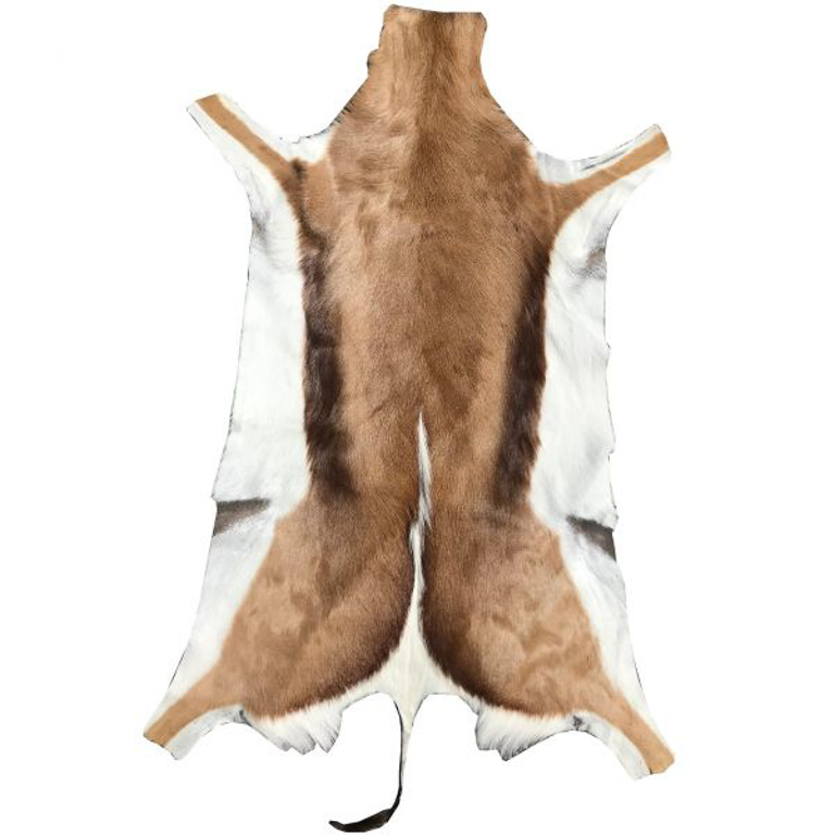 Picture of SOUTH AFRICAN HIDE