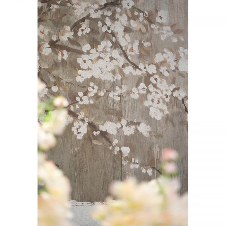 Picture of CHERRY BLOSSOM