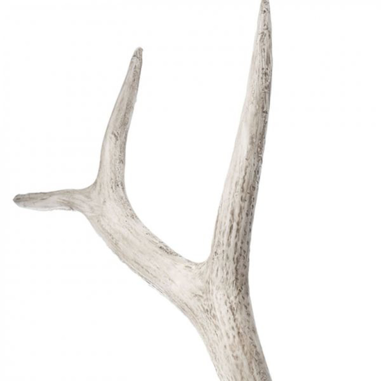 Picture of WEATHERED RESIN ELK ANTLER