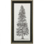Picture of PACIFIC NORTHWEST TREE I