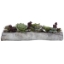 Picture of CHARITA SUCCULENTS CENTERPIECE