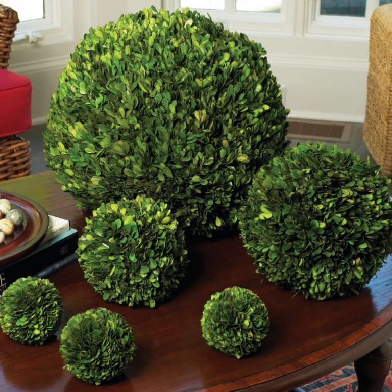 Picture of SMALL BOXWOOD BALL