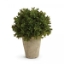 Picture of BARCLAY BUTERA FAUX SHRUB