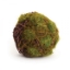 Picture of MOSSY EARTHEN ORB
