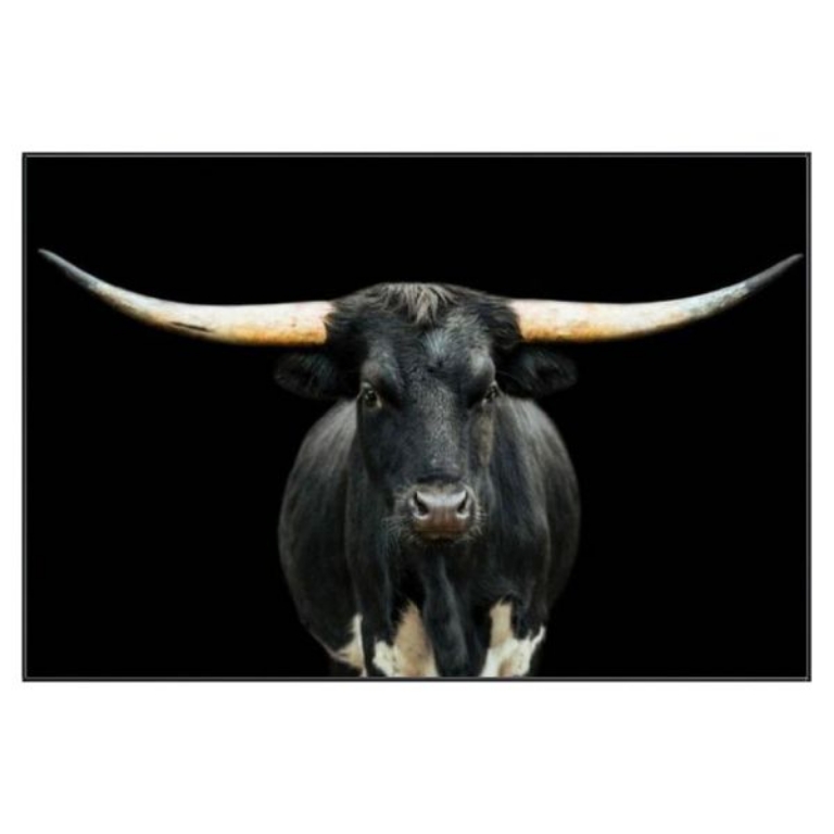 Picture of BLACK AND WHITE LONGHORN