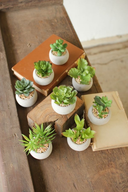 Picture of MINI CEMENT POTTED SUCCULENTS SET