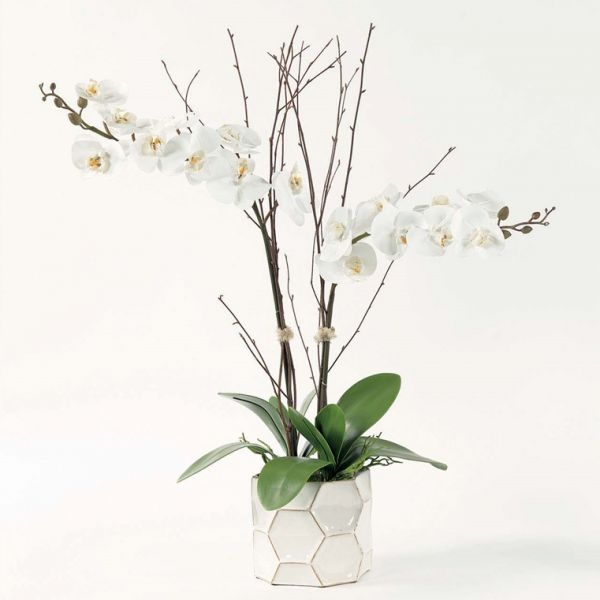 Picture of WHITE ORCHIDS IN FACETED VASE