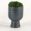 Picture of SMALL CONTEMPORARY MOSS URN