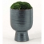 Picture of LARGE CONTEMPORARY MOSS URN
