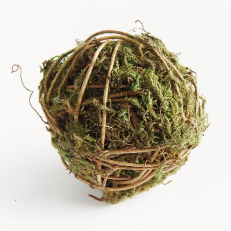 Picture of MOSSY VINE ORB