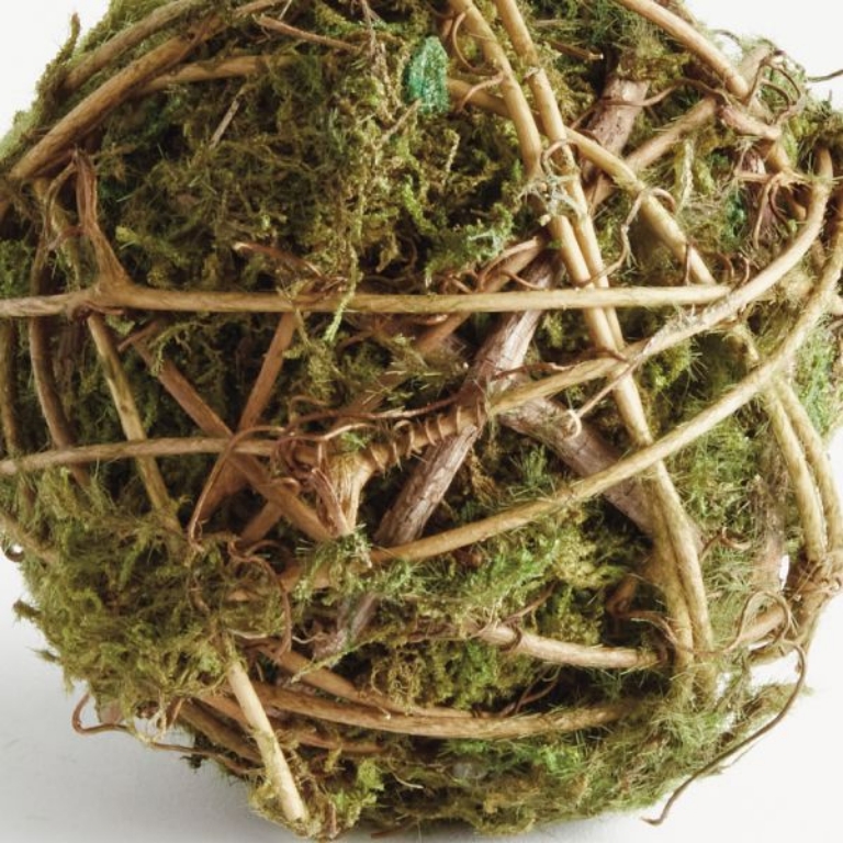 Picture of MOSSY VINE ORB