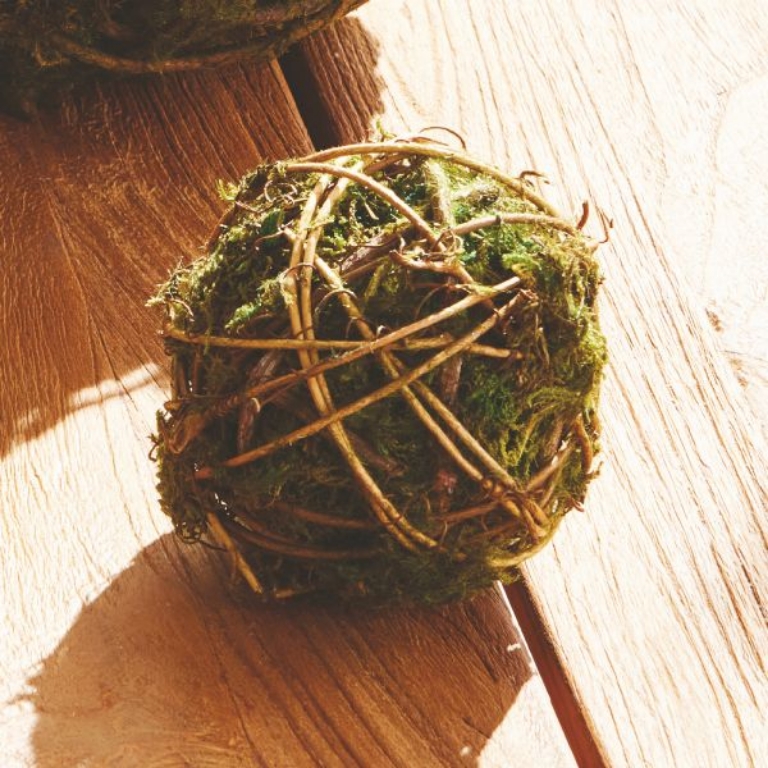 Picture of MOSSY VINE ORB