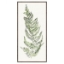 Picture of GRAND FERN II