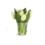 Picture of DUTCH TULIP IN VASE