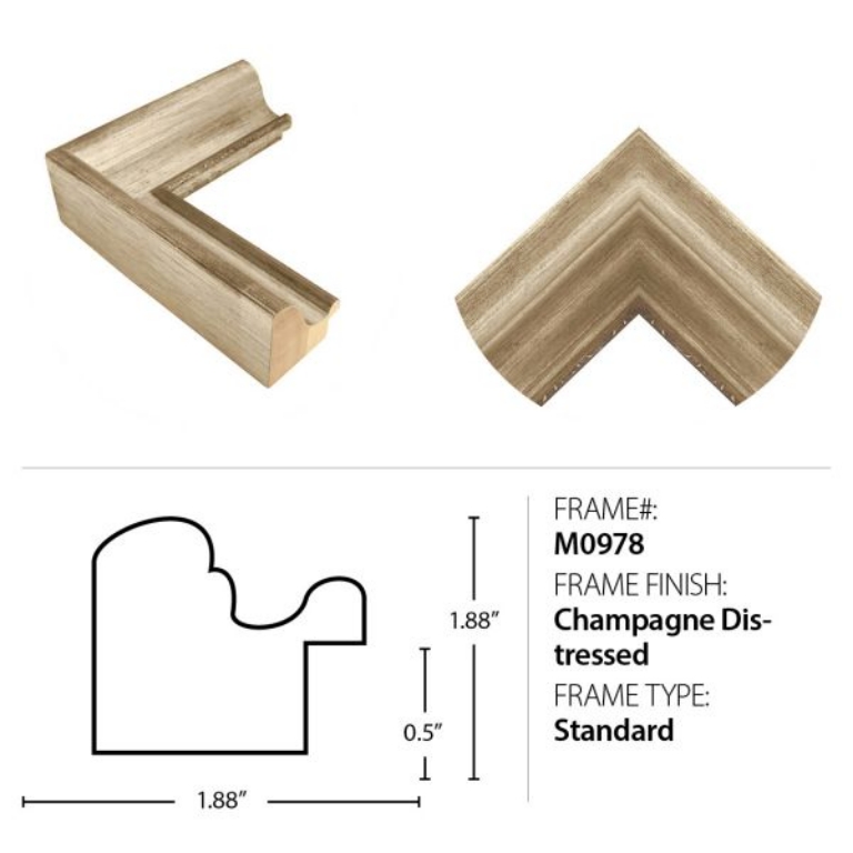 Picture of PATCHWORK VIEWS II