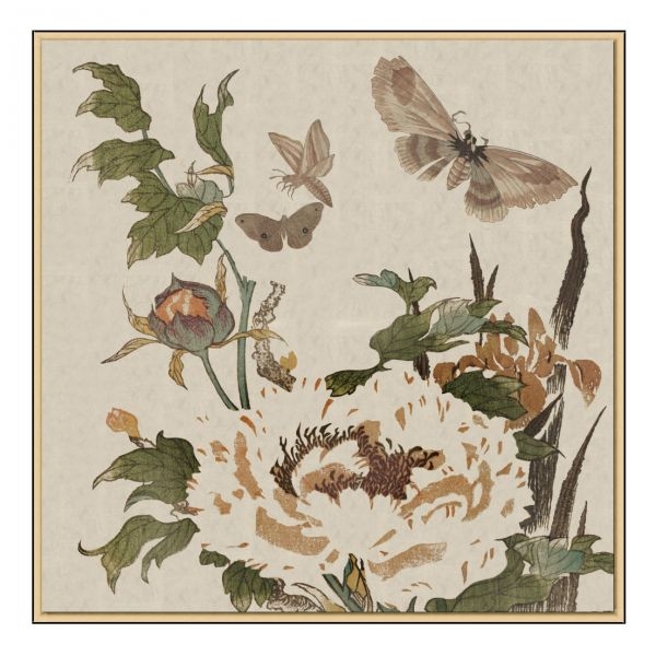 Picture of NATURES BOUNTY III