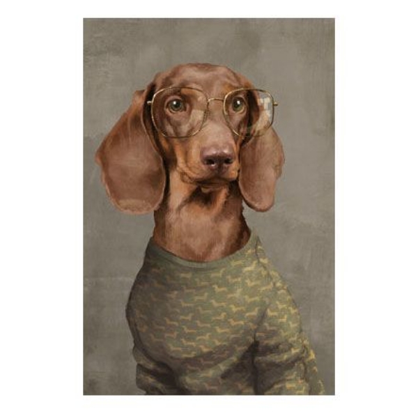 Picture of HIPSTER PUP XII