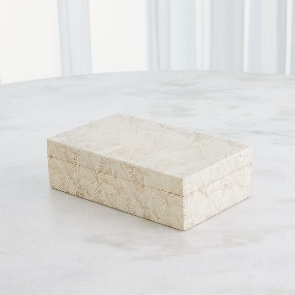 Picture of SEARCHLIGHT MEDIUM BOX