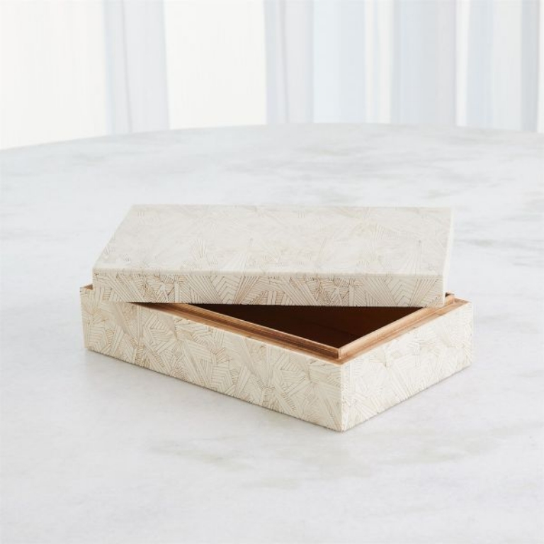 Picture of SEARCHLIGHT MEDIUM BOX