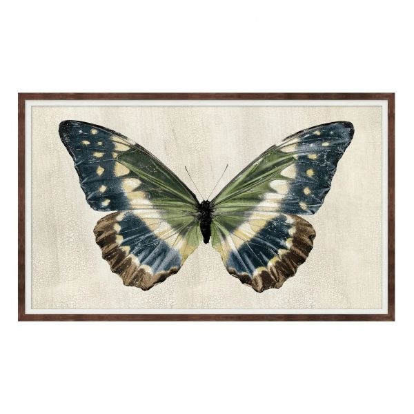 Picture of ANTIQUE MOTH II