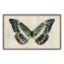Picture of ANTIQUE MOTH II