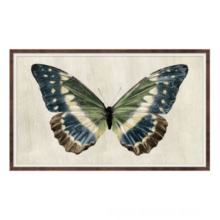 Picture of ANTIQUE MOTH II