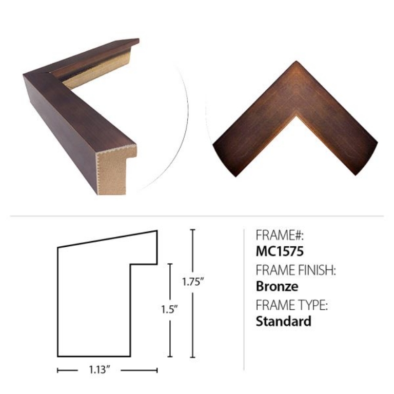 Picture of ANTIQUE MOTH II