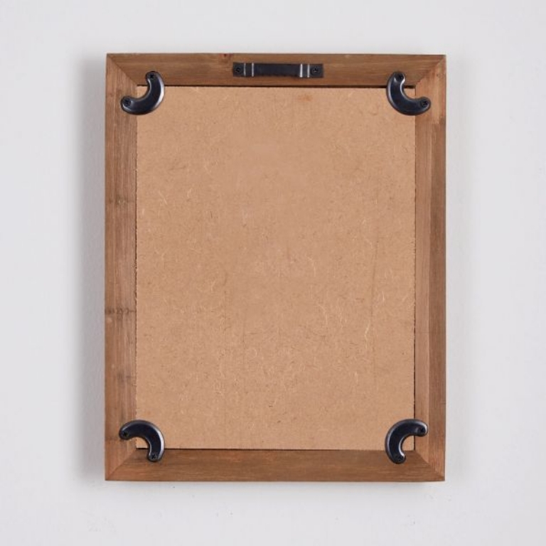 Picture of ASSORTED FROND STUDY