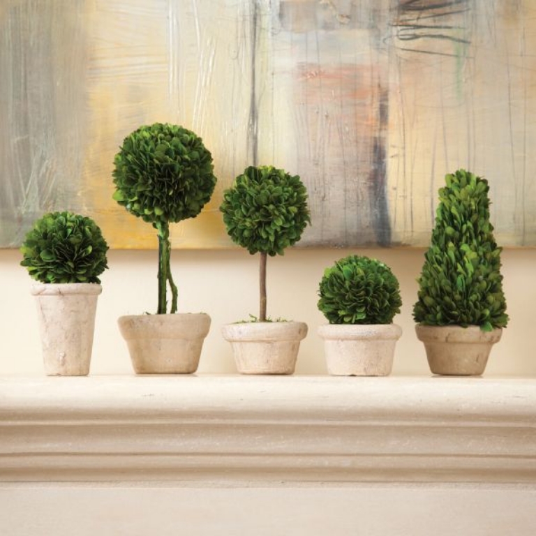 Picture of BOXWOOD POTTED TOPIARIES