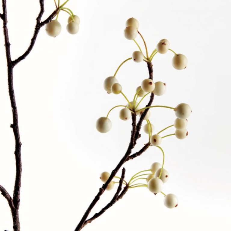 Picture of WHITE BERRY BRANCH