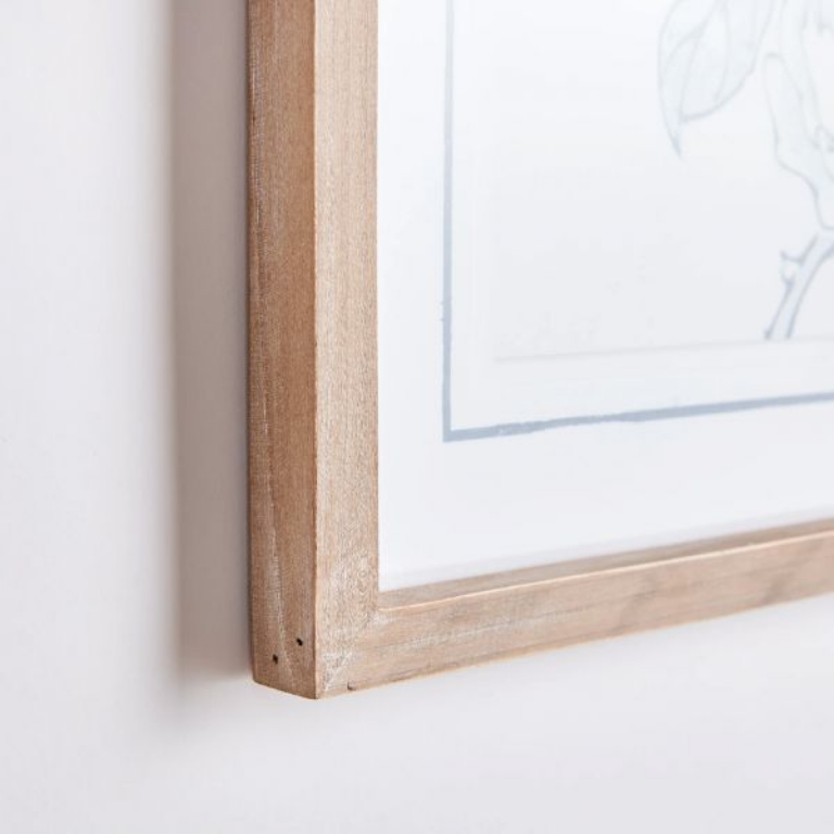 Picture of MONOCHROMATIC BIRD STUDY