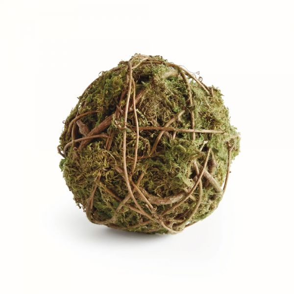 Picture of MOSSY VINE LARGE ORB