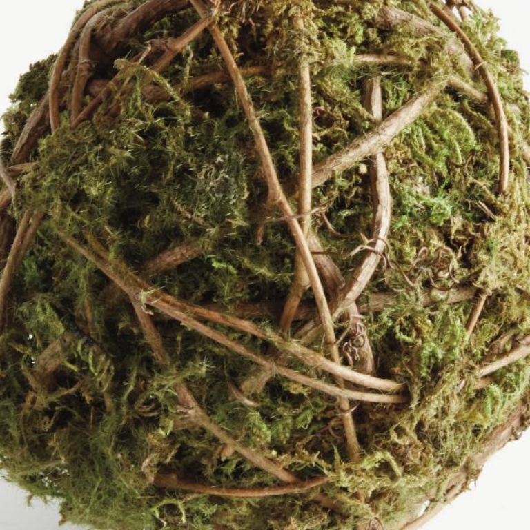 Picture of MOSSY VINE LARGE ORB