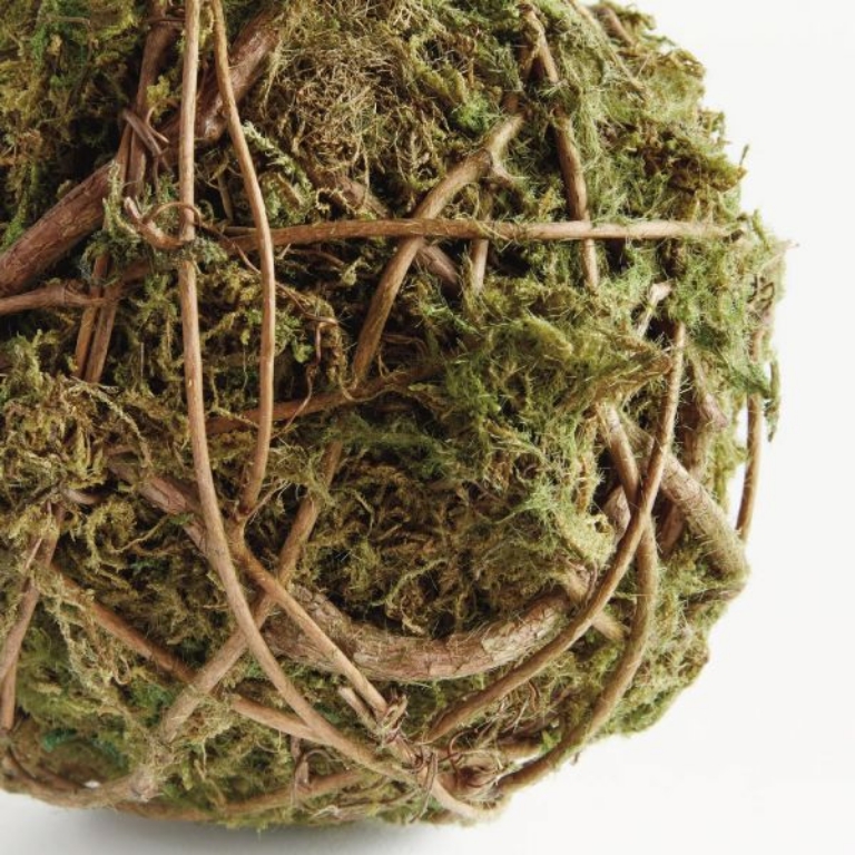 Picture of MOSSY VINE LARGE ORB