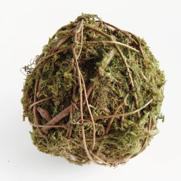 Picture of MOSSY VINE LARGE ORB