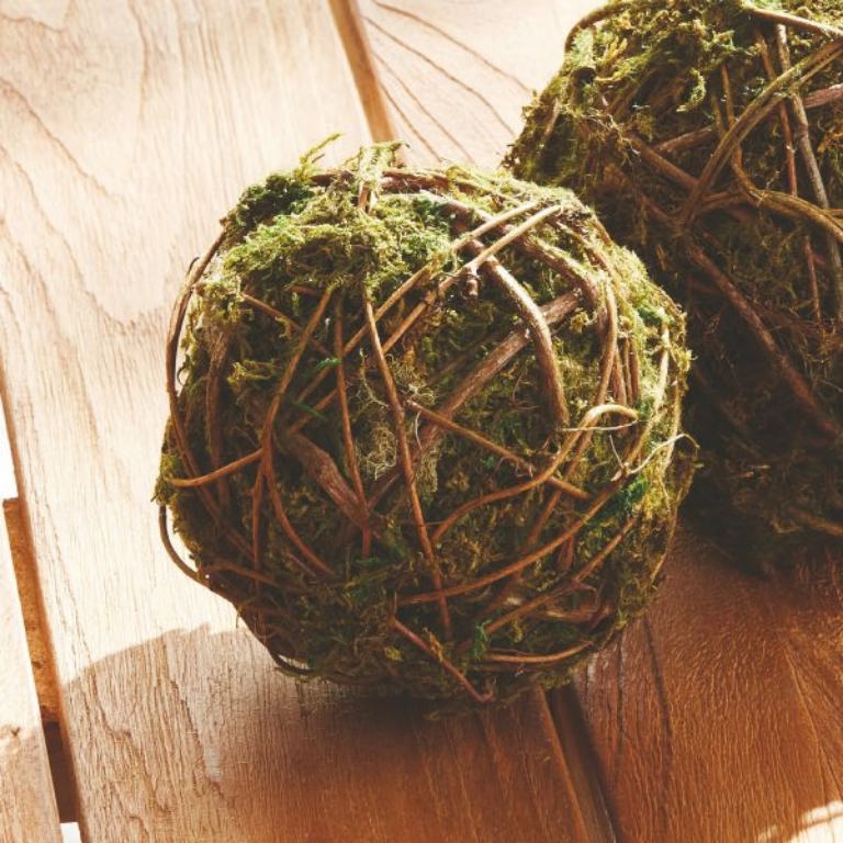 Picture of MOSSY VINE LARGE ORB