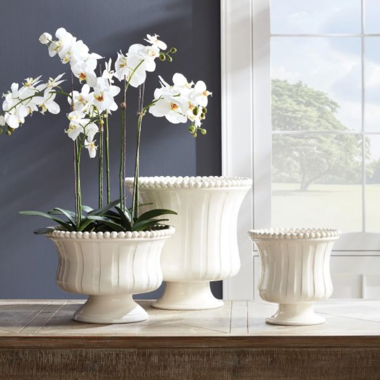 Picture of PHALAENOPSIS BOWL DROP-IN