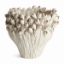 Picture of COURTNEY GRANDE VASE