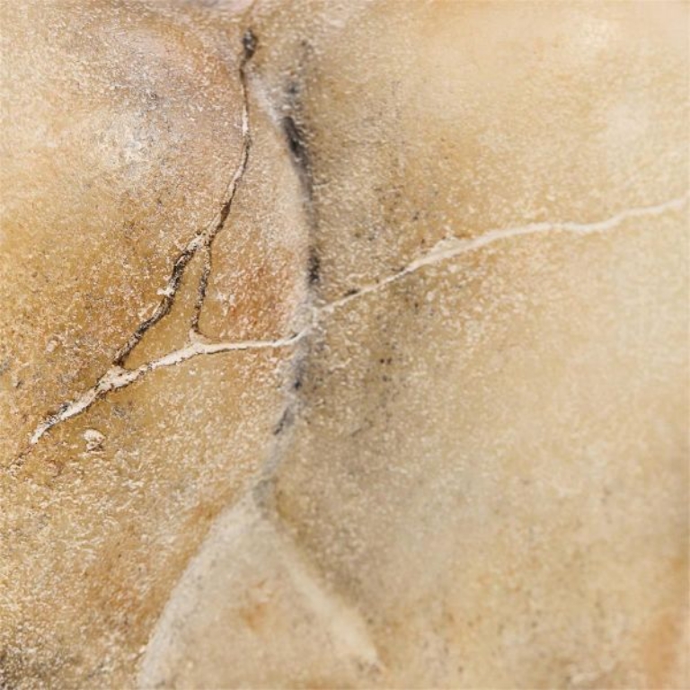 Picture of ETRUSCAN HORSE SCULPTURE II